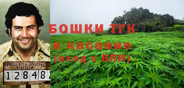 молекула духа Михайловск
