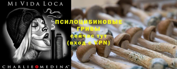молекула духа Михайловск