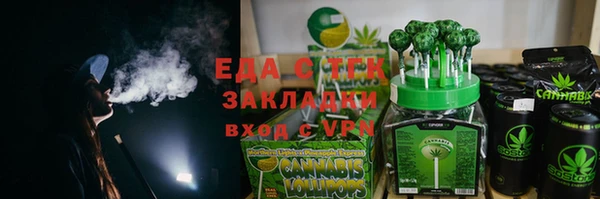 индика Медногорск