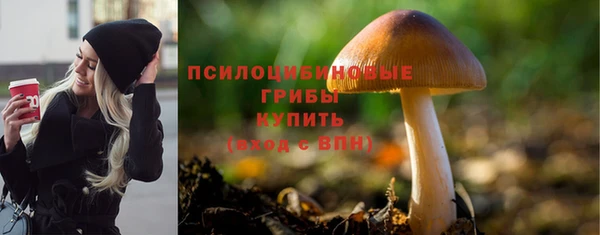 гашик Михайловка