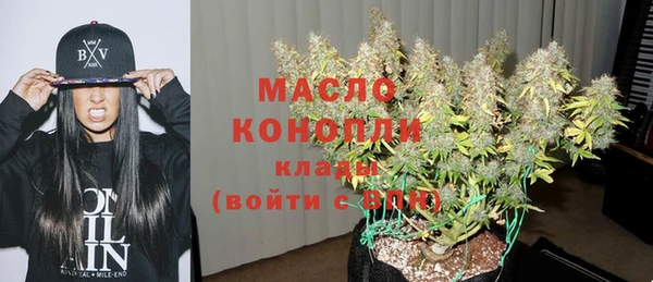 молекула духа Михайловск