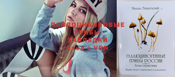 молекула духа Михайловск
