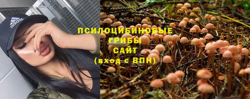 Псилоцибиновые грибы MAGIC MUSHROOMS  Мамоново 